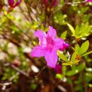 풍무온누리약국 이미지