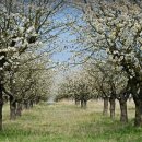 2025년 5월(셋째주) 성장반 훈련[종료] 이미지