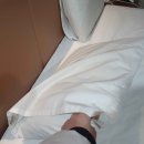 이그니스호텔 이미지