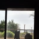 인스밀 | [제주여행] 제주도카페 인스밀 탐방 후기