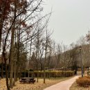 원적산소고집 이미지