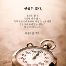 라돈은 화학원소 내돈은 하루살이 인생지갑 ㅡㅡㅡ갑 이미지