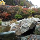 푸른별펜션 이미지