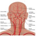 덕천한의원 이미지