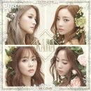 (주)카라