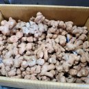 대일상회 이미지