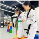 전인태권도교육관 이미지