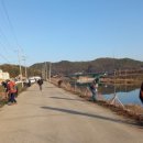 호법 코스모스길 이미지