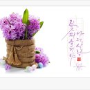 꽃피울