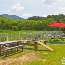 익산애견테마파크 이미지