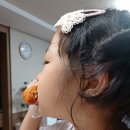 도리도리 닭도리탕 경주점