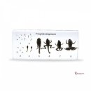 아리랑과학 이미지