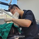 봉곡동365 이미지