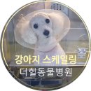 구포동물병원 이미지