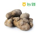 북안동