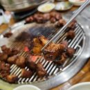 흥부네돈돼지