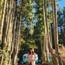 금복목장 이미지