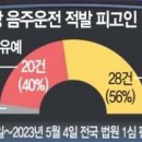 음주운전 재범률 42%… 5명 중 1명 1년내 적발 이미지