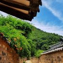 직업상담사 필기 - 노동시장론 이미지