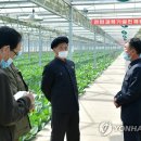 현지농장 이미지