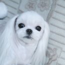 세리빌