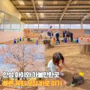 파란곰한우농장 | 안성팜랜드 4월 아이와 가볼만한곳 승마 토끼 먹이주기 체험 후기