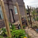 6000냥부페 | <김포식당/하성면한식뷔페> 일하고 점심으로 먹을만했던 가성비 좋은 한울한식부페