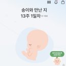 (주)송이축산물프라자 | 임신 11주 차 산부인과 진료 기록(ft. 자연 임신 성공 후기, 임신 초기 초음파 기록)