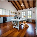 연신내약국 | 연신내 미니비숑분양 현실적인 후기와 단계별 체크리스트