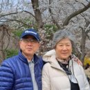 대한노인회 계룡시지회 이미지