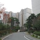 용인수목원우림필유아파트(103동) 이미지