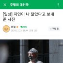 주호민 작가가 어제 올린 글.jpg 이미지