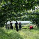 박철수농장 이미지