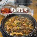 김포양촌맛집 육개장이 맛있는 "철원해장국" 내돈내산 후기