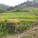 은행목장 이미지