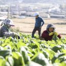 외동농원 이미지