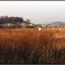 금남1리 이미지