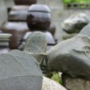 회성농장 이미지