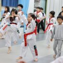 경희대 효 태권도장 | 다양한 자격증! 기초부터 제대로 배울 수 있는 곳! [동탄경희대태권도]