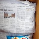 보리카우 이미지