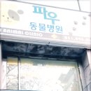 파우 동물병원 이미지