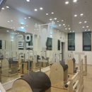 올인필라테스피티 이미지