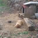 섬진강어울펜션 이미지