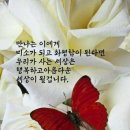 🌱 소금의 20가지 활용법 이미지