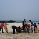 김녕초등학교 이미지