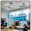 랭귀지캠프 이미지