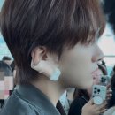 민들레생각
