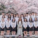 4.3.(금) 벚꽃 단체사진 이미지