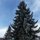 방은목장 | 여행_오비히로 여행 3박4일 둘째날 1 (부타하게 부타동, 도카치 신무라목장, 홋카이도 호텔)