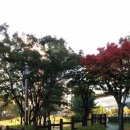 호수공원 삼거리(어정역) 이미지